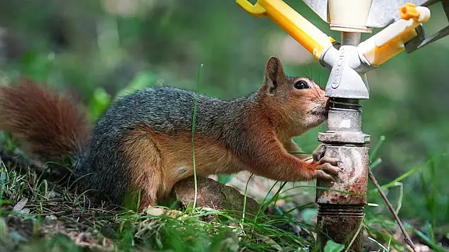 Konya dahil 23 ilde sıcaklıklar 40 derecenin üzerine çıktı