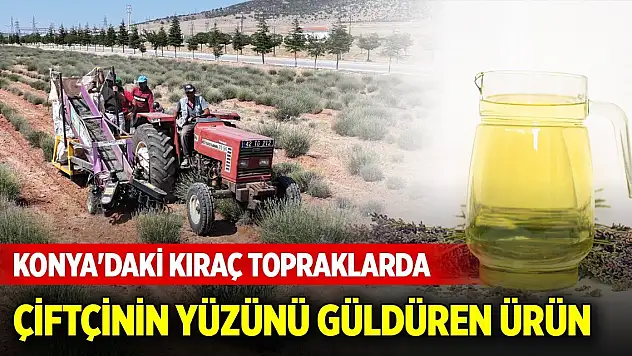 Konya'daki kıraç topraklarda çiftçinin yüzünü güldüren ürün