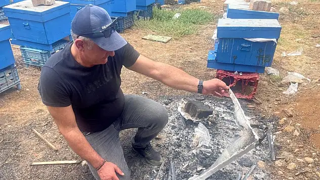 Milyonlarcası ateşe uçtu bir daha geri dönmedi