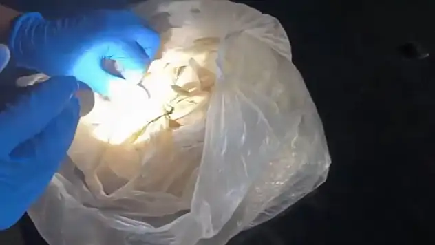 Konya'da 15 günde 82 ayrı operasyon