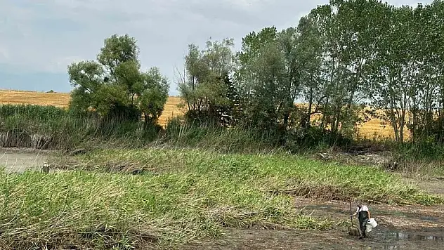 Onlarca balık can çekişti!