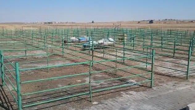 Cihanbeyli'de Kurban Bayramı hazırlıkları