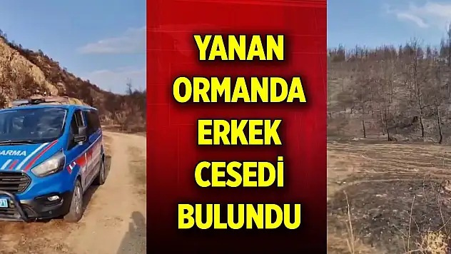 Yanan ormanda erkek cesedi bulundu