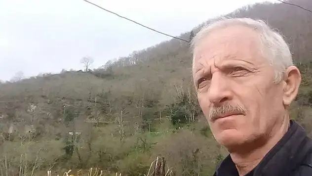 Armut ağacı sonu oldu