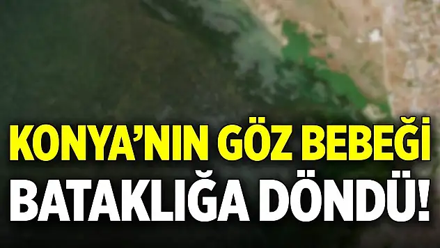 Konya'nın göz bebeği bataklığa döndü!