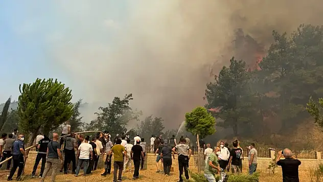 Çanakkale'de iki orman yangını! Uçuşlar durduruldu