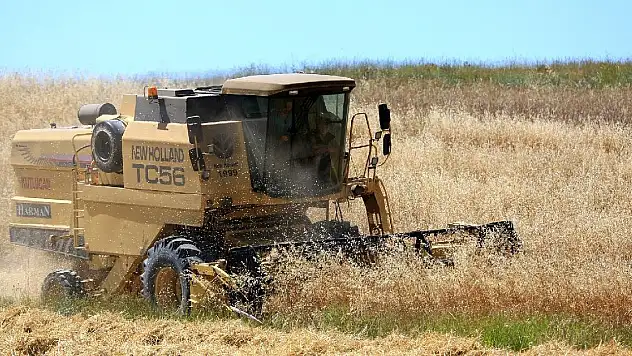 Küresel gıda fiyatları temmuzda yükseldi