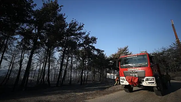 Çanakkale'deki orman yangınlarında son durum