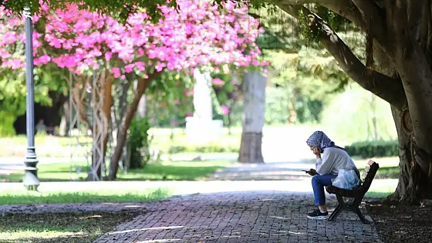 Adana'da son 95 yılın en sıcak günü yaşandı