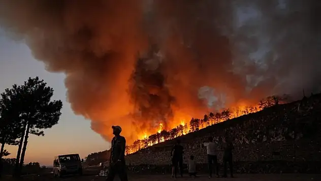 Bir şehir efsanesi: 'Kozalak patlaması'