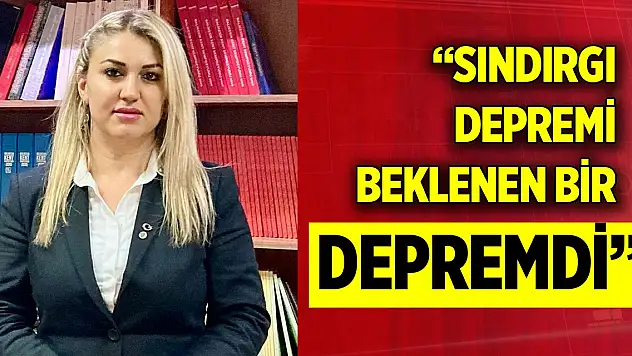 'Sındırgı depremi beklenen bir depremdi'