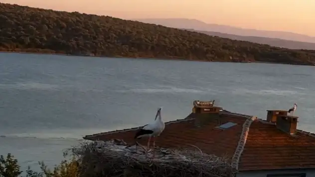 Depremi önceden hissetti