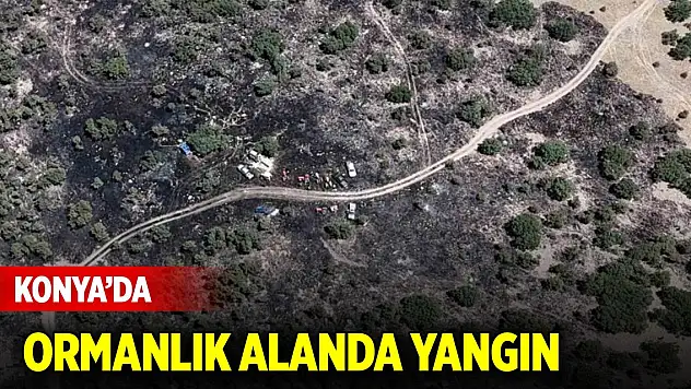 Konya'da ormanlık alanda yangın paniği