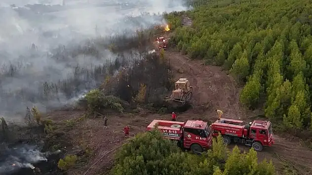 Acı haber duyuruldu: Orman işçisi şehit oldu