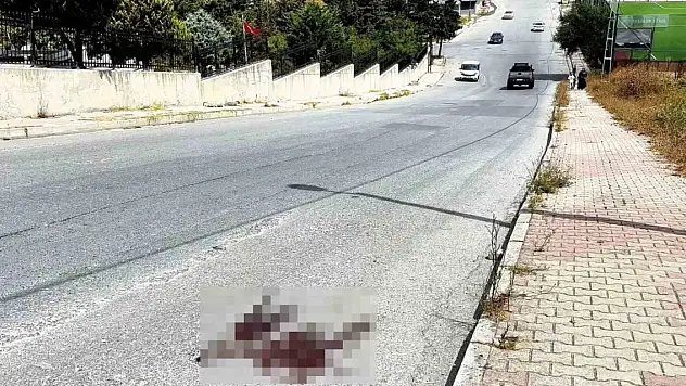 Mezarlık önünde kardeş kavgası cinayetle bitti