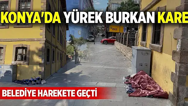 Konya'da yürek burkan kare: Belediye harekete geçti!