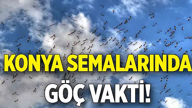 Konya semalarında göç vakti!
