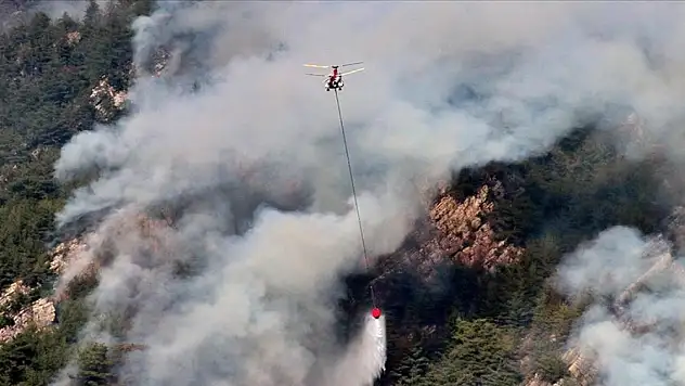 Orman şehidi sayısı 2'ye çıktı