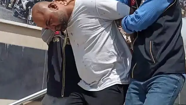 Şehidin mezarını tahrip etti