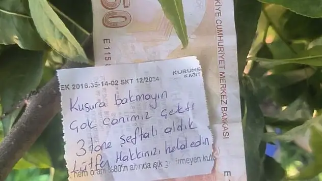 İnsanlık ölmemiş dedirten hareket
