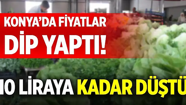 Konya'da fiyatlar dip yaptı! 10 liraya kadar düştü