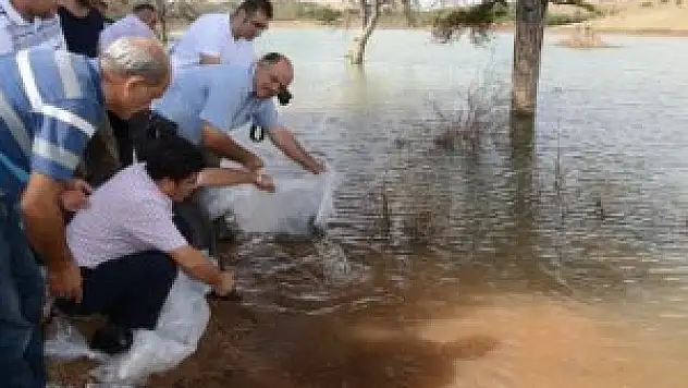 Büyükşehir'den balıkçılığa destek