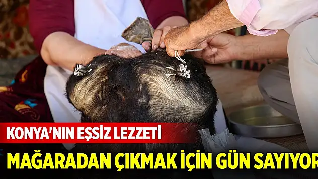 Konya'nın eşsiz lezzeti mağaradan çıkmak için gün sayıyor