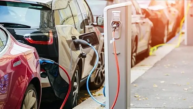 Yüzde 147'lik artış! Türkiye Avrupa'da ilk sıralarda