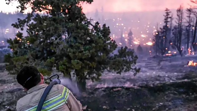 Karaman'daki orman yangını kontrol altında