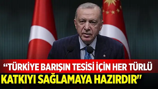 'Türkiye barışın tesisi için her türlü katkıyı sağlamaya hazırdır'