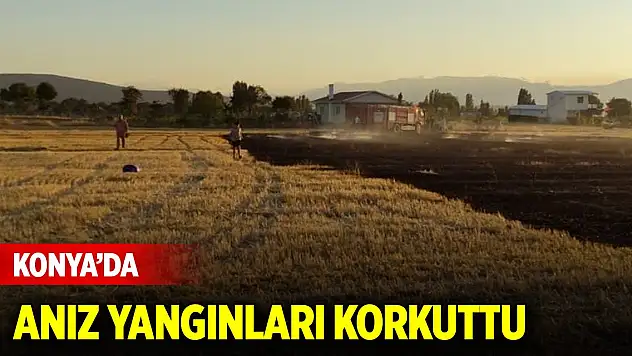 Konya'da anız yangınları korkuttu