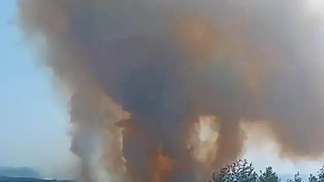 Adana'daki orman yangını kontrol altında