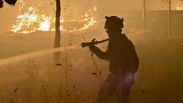 İber Yarımadası'ndaki yangınlar, İspanya'da son 23 yılın en yüksek emisyonlarına yol açtı