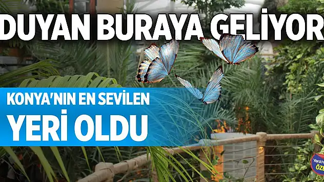 Duyan buraya geliyor! Konya'nın en sevilen yeri oldu