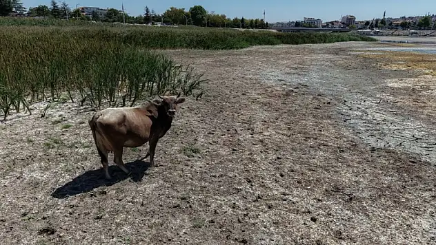 Konya'da gündem olan gölle ilgili başkandan açıklama: Her şeyi tüm şeffaflığıyla anlatacağım