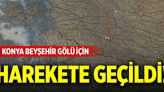 Konya Beyşehir Gölü için harekete geçildi!