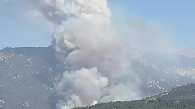 Denizli'de orman yangını... Söndürme çalışmaları aralıksız devam ediyor