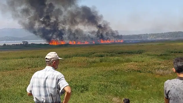 Antalya'dan destek... Konya'daki yangın havadan müdahale ile söndürüldü