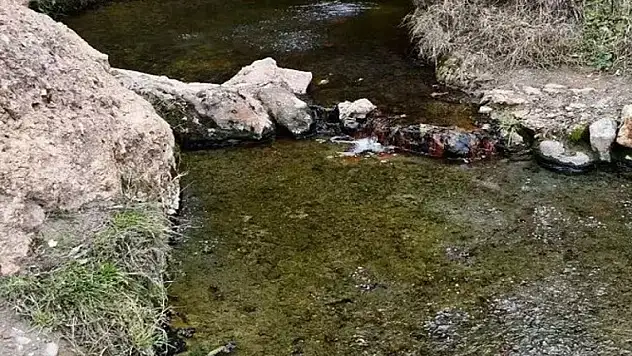 'Şifalı' denilen suya giren çift hayatını kaybetti