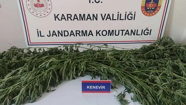 Kenevir ve 63 adet fosil ele geçirildi