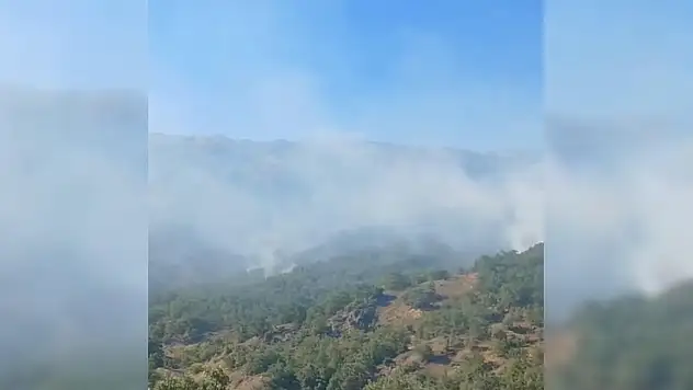 Malatya'da orman yangını 21 saat sonra kontrol altına alındı