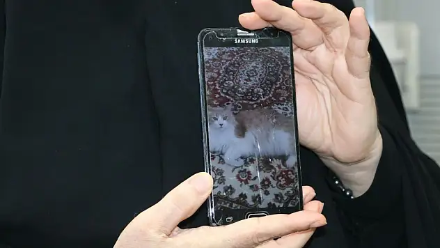 Kedisini bulana 5 bin lira ödül verecek