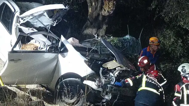 Otomobil zeytinliğe savruldu: 2 ölü, 1 ağır yaralı