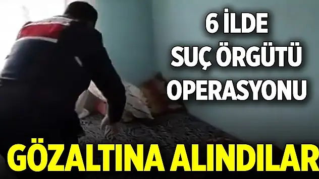 Organize suç örgütüne yönelik 6 ilde düzenlenen operasyon! 20 şüpheli yakalandı