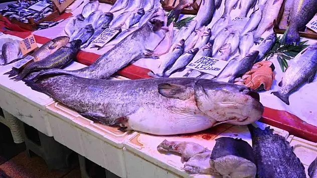 'Canavar gibi' diyorlar ama canavar değil!