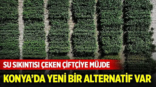 Konya'da su sıkıntısı çeken çiftçiye müjde