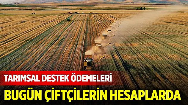 Tarımsal destek ödemeleri bugün çiftçilerin hesaplarına yatıyor