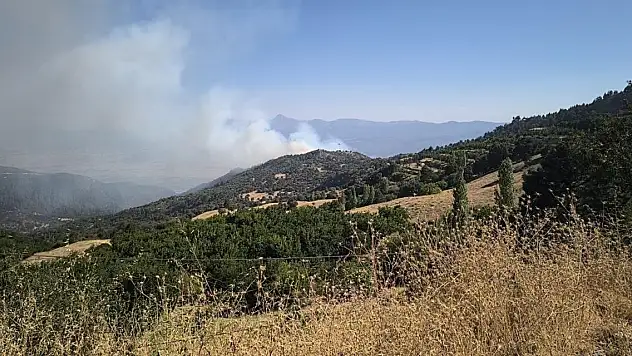Denizli'de orman yangını çıktı