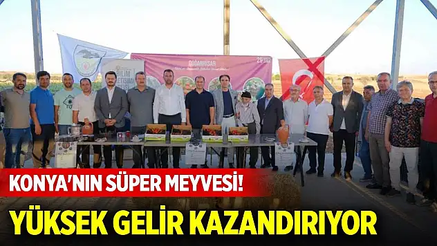 Konya'nın süper meyvesi! Yüksek gelir kazandırıyor