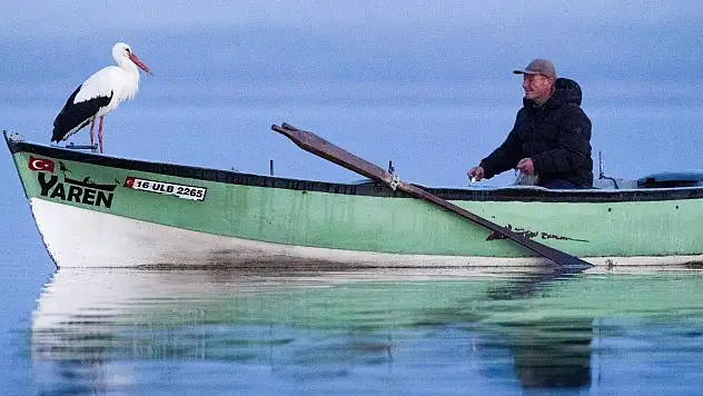 'Yaren' leylek göç yolculuğuna başladı